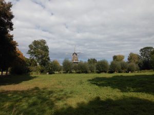 Molen Welsum