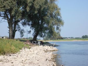 De IJssel bij Welsum